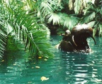 Jungle_Cruise